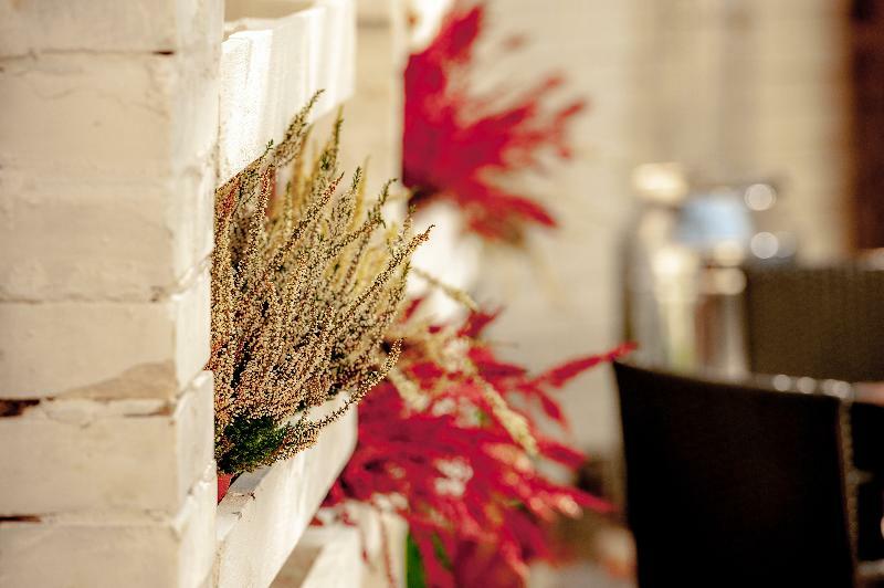 Plaza Boutique Hotel Cracovia Exterior foto